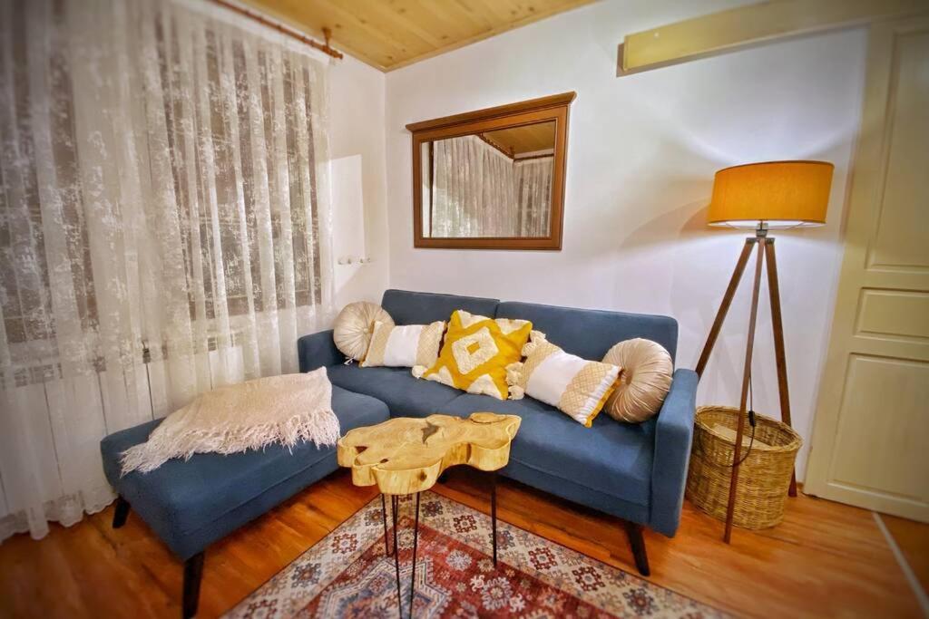 The Secret Lodge- New With Private Garage, Entire House فيليكو ترنوفو المظهر الخارجي الصورة